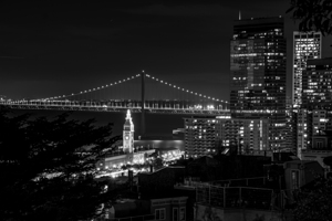 ferry building from telegraph hill  horizontal 29