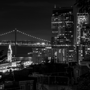 ferry building from telegraph hill  square 2950 F