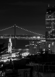 ferry building from telegraph hill  vertical 2950