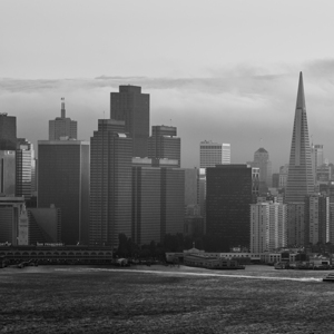 fog engulfs san francisco skyline  square 499 Fog