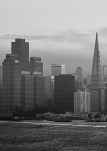 fog engulfs san francisco skyline  vertical 499 F