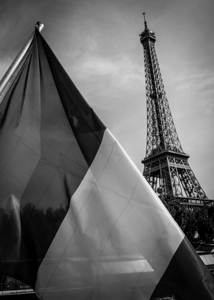 french flag eiffel tower  vertical 2502 France 13