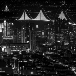 fully illuminated bay bridge night  square 2941 B
