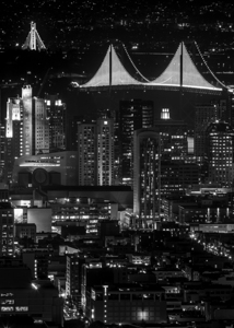 fully illuminated bay bridge night  vertical 2941