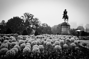 george washington statue public garden  horizonta