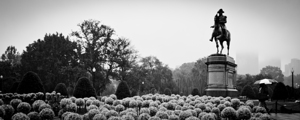 george washington statue public garden  panoramic
