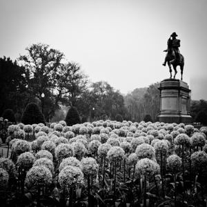 george washington statue public garden  square 13