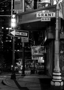 grant ave chinatown  vertical 2953 Grant 13k