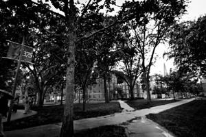 harvard yard  horizontal 1389 Yard 13k