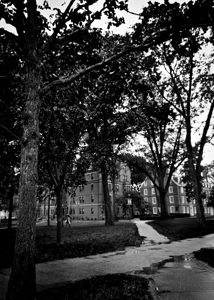 harvard yard  vertical 1389 Yard 13k
