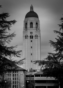 hoover tower stanford campus  vertical 2884 Herbe