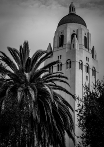 hoover tower stanford university campus  vertical