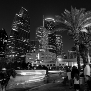 horse carriage downtown houston skyline  square 9