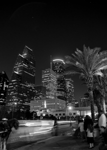 horse carriage downtown houston skyline  vertical