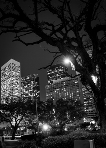 houston skyline from root square  vertical 940 Ro