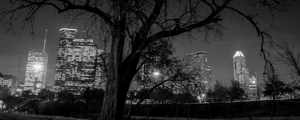 houston skyline in buffalo bayou  panoramic 934 O
