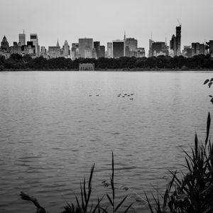 jaqueline kennedy onassis reserveoir  square 1477
