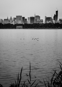 jaqueline kennedy onassis reserveoir  vertical 14