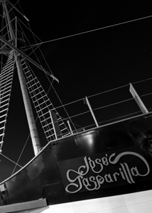 jose gasparilla pirate ship  vertical 1109 Gaspar