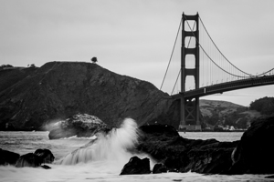 lone tree overlooks golden gate bridge  horizonta