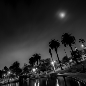 macarthur park at night  square 2199 Urine 13k.jp