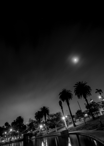 macarthur park at night  vertical 2199 Urine 13k.