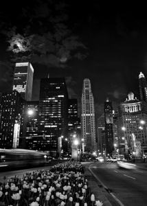 magnificent mile at night  vertical 73 Michigan 1