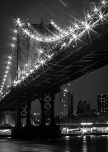 manhattan bridge brooklyn bridge park  vertical 1