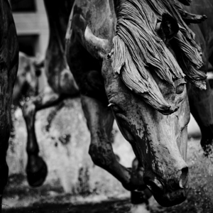mustangs of las colinas  square 2122 Stallion 13k