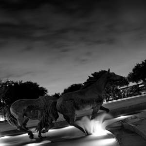 mustangs of las colinas at night  square 770 Coli