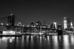 new york city skyline from brooklyn  horizontal 3
