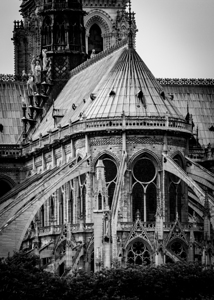 notre dame de paris  vertical 2492 Dame 13k