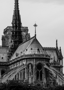 notre dame de paris steeple  vertical 3453 Fleche