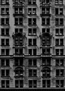 old style office building cedar street  vertical
