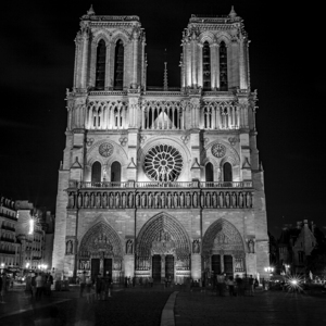 paris notre dame cathedral at night  square 3451
