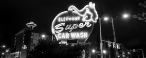 pink elephant car wash  panoramic 2680 Elephant 1