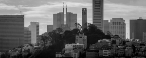 pioneer park coit tower telegraph hill  panoramic