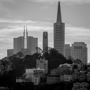 pioneer park coit tower telegraph hill  square 28
