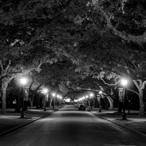 rice university at night  square 938 Rice 13k