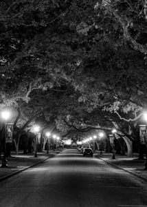 rice university at night  vertical 938 Rice 13k.j