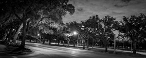rice university main and fanin intersection  pano