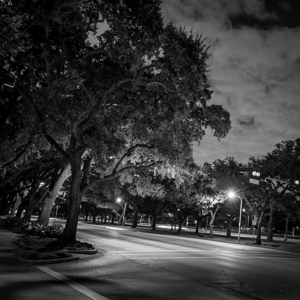 rice university main and fanin intersection  squa