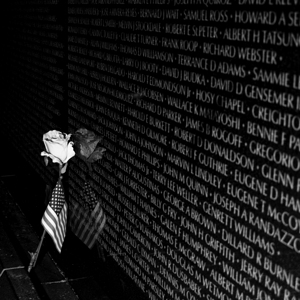 rose and flag on vietnam wall  square 398 Gratitu