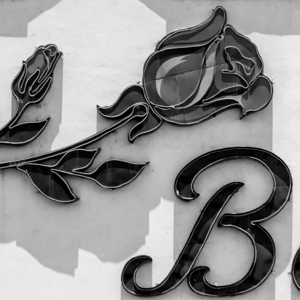 rose bowl pasadena  square 2193 Rose 13k