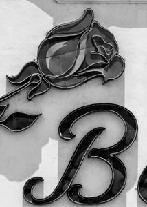 rose bowl pasadena  vertical 2193 Rose 13k