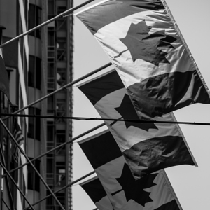 row of canadian flags  square 2634 Leaf 13k