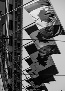 row of canadian flags  vertical 2634 Leaf 13k