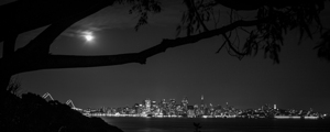 san francisco skyline from yerba buena island  pa