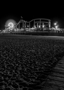 santa monica pier at night pacific park  vertical