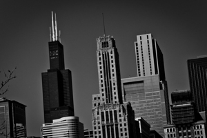 sears tower daley plaza grant park  horizontal 57